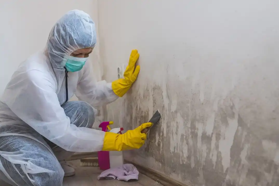 water damage restoration service Denia